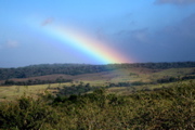 Buena Vista rainbow 2