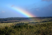 Buena Vista rainbow 2