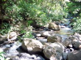 IMG_5267.JPG