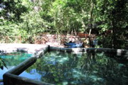 Mud baths 1