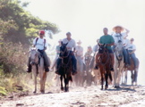 Horseback, group