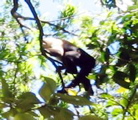 IMG_5277.JPG