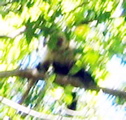 IMG_5278.JPG