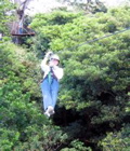 IMG_5288.JPG