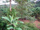 STB_4868.JPG