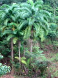 IMG_4872.JPG
