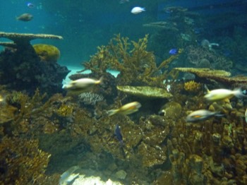 Stacks Image 6401