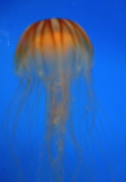 Stacks Image 6301