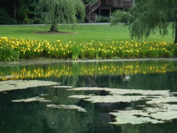 Stacks Image 7772
