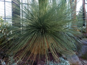 Stacks Image 8347