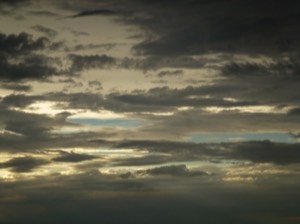 Stacks Image 8115