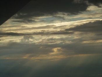 Stacks Image 8120