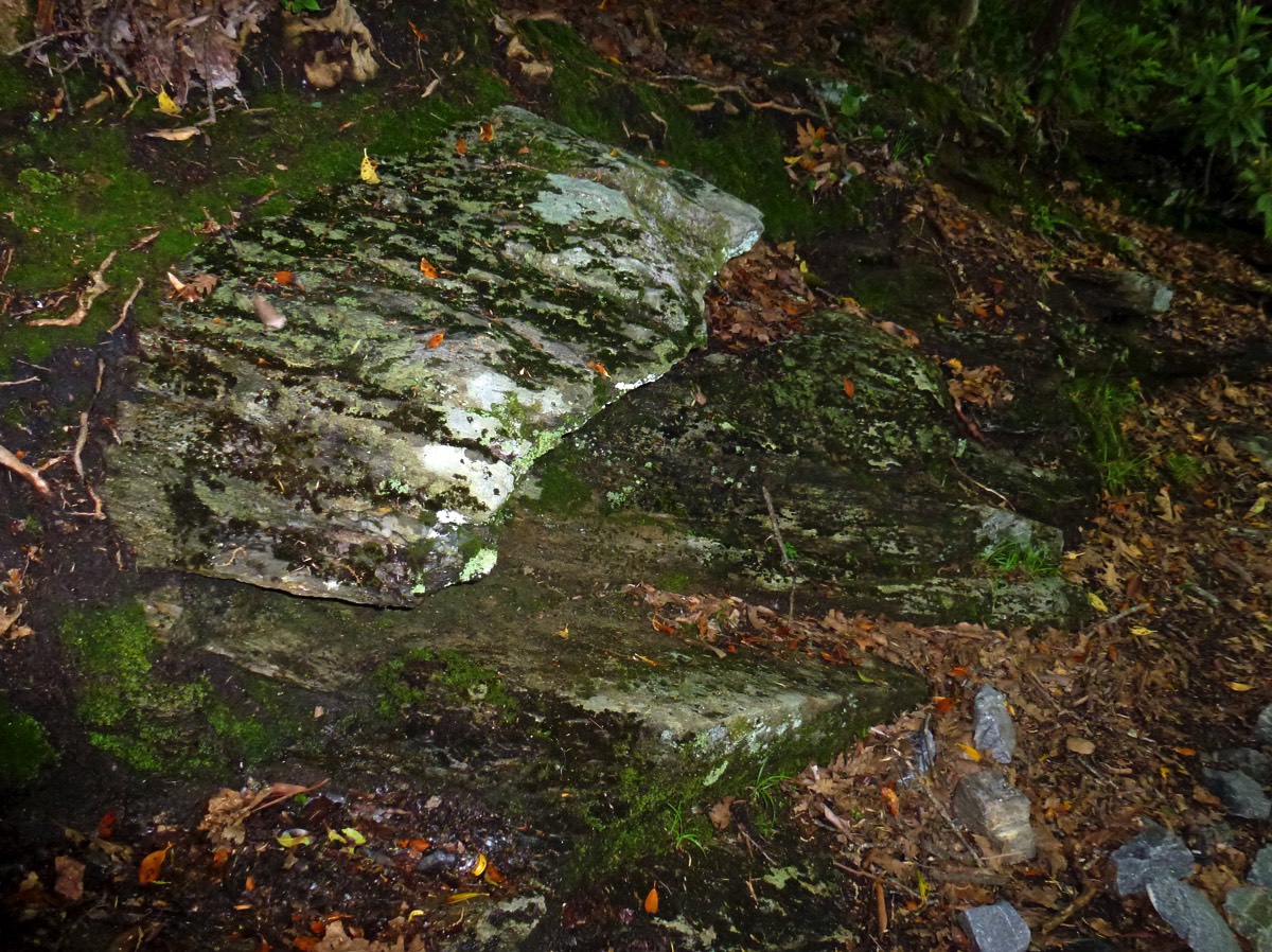 Stacks Image 224