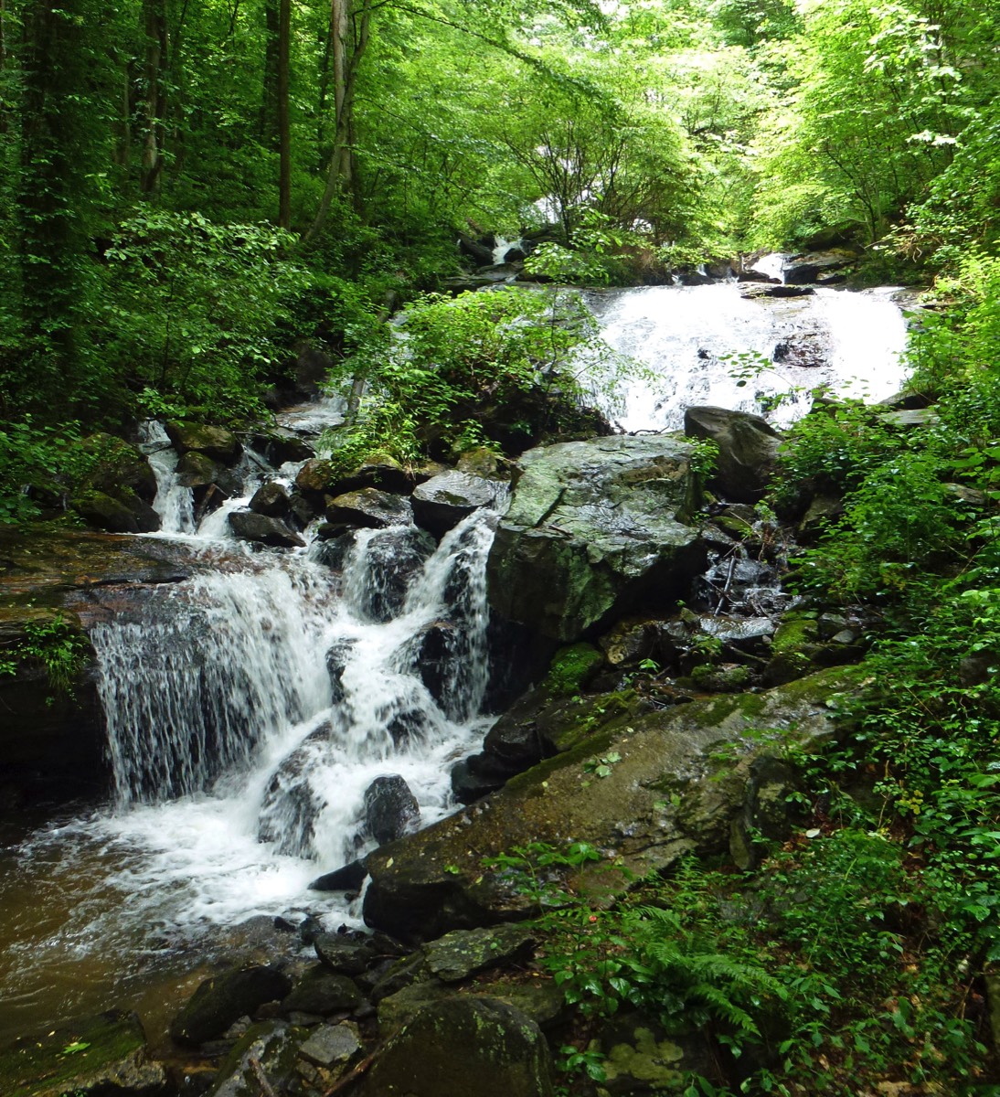 Stacks Image 1031
