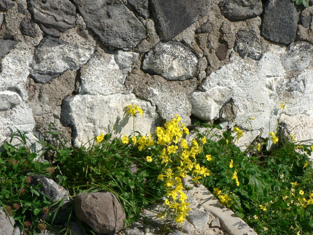 P1070330.JPG