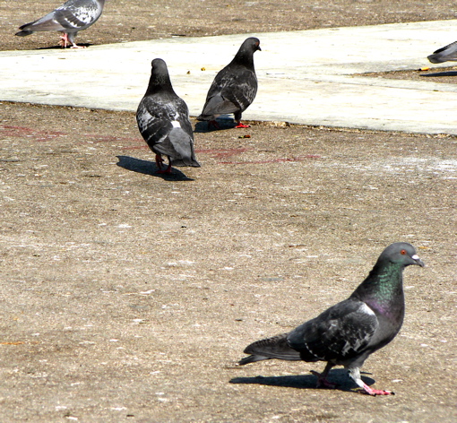 P1060312.JPG