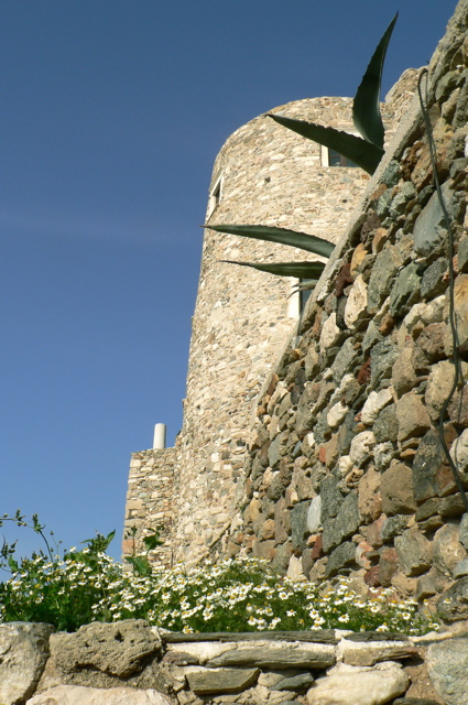 P1070453.JPG