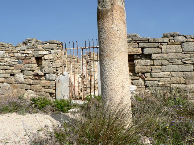 P1070641.JPG