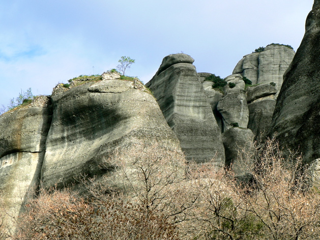 P1060433.JPG