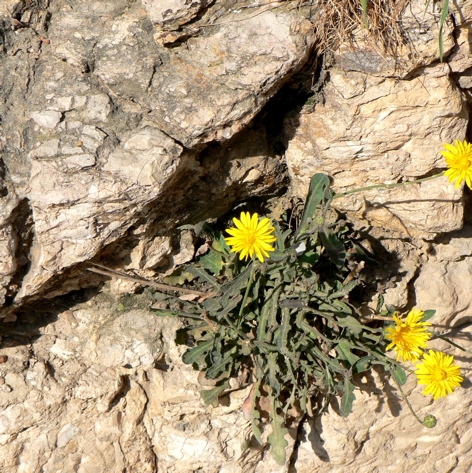 P1060227.JPG