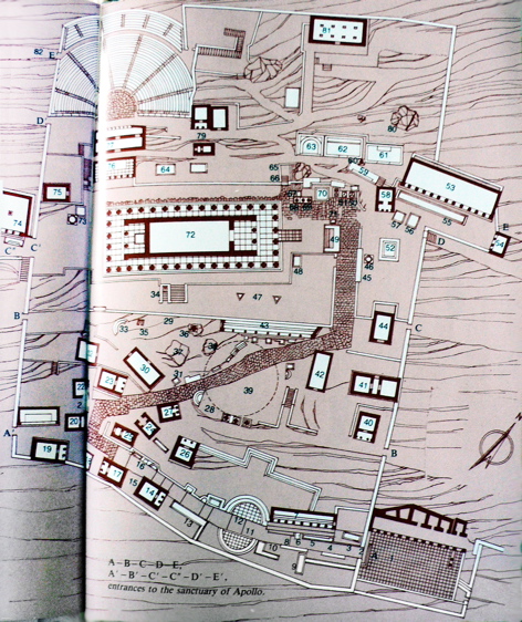P1080226.JPG