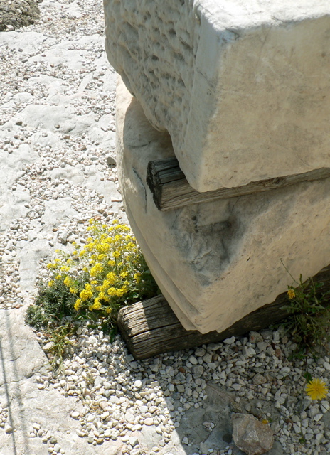 P1060246.JPG