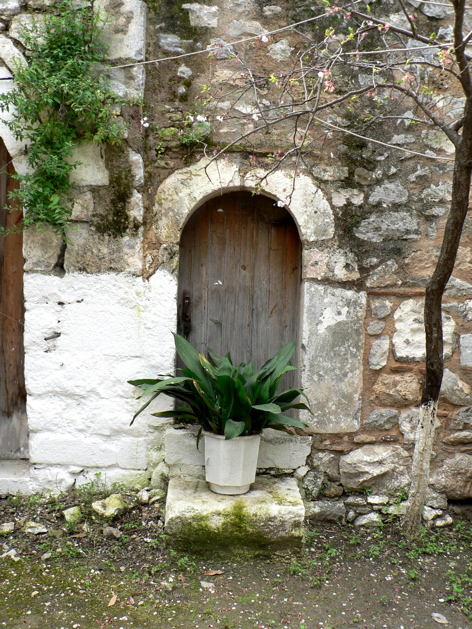 P1060822.JPG