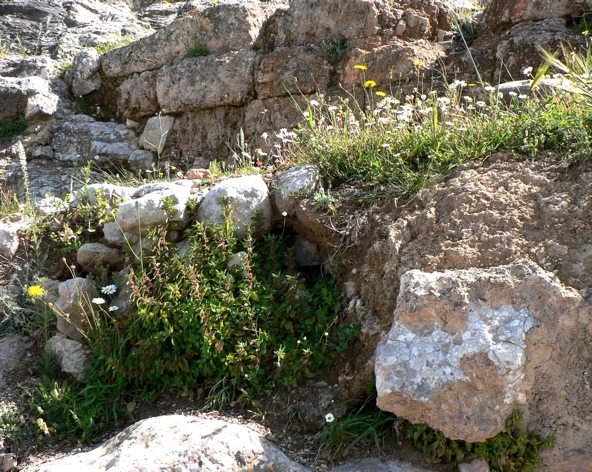 P1060918.JPG