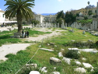 P1060300.JPG