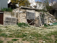 P1070396.JPG