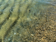 P1070435.JPG