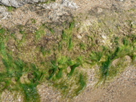 P1070438.JPG
