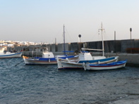 P1070480.JPG