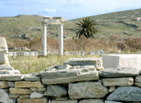 80. Delos - Palm tree where Apollo was born