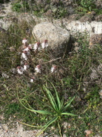 P1070643.JPG