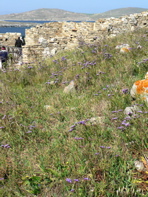 P1070657.JPG