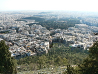 P1060350.JPG