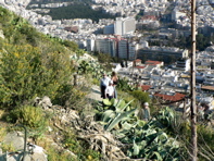 P1060357.JPG
