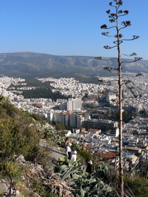P1060358.JPG