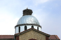 15. Stork's nest