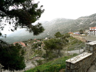 P1060597.JPG