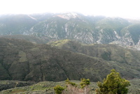 P1060636.JPG