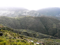 P1060637.JPG