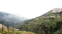 P1060784.JPG
