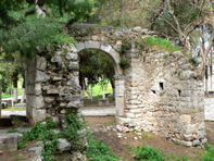 P1060824.JPG