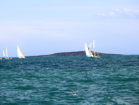 P1060848.JPG