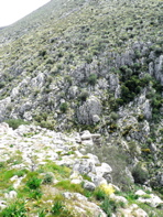 P1060933.JPG