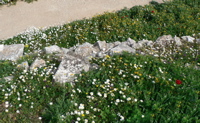 P1060935.JPG