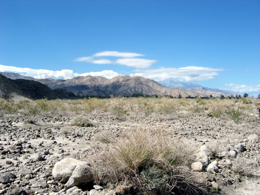 Living Desert Zoo and Plant Ctr, Palm Desert