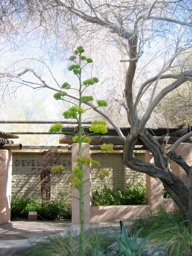Living Desert Zoo and Plant Ctr, Palm Desert